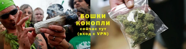 не бодяженный Горно-Алтайск