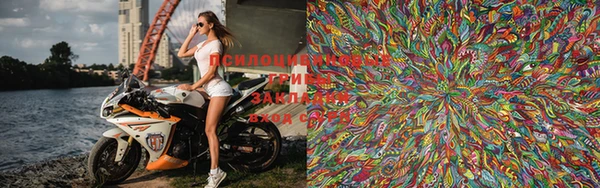 скорость Горняк
