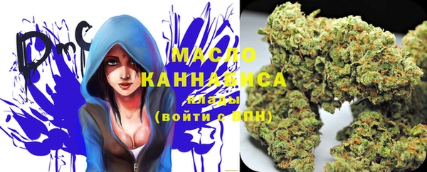 не бодяженный Горно-Алтайск