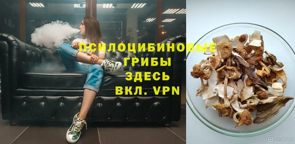 не бодяженный Горно-Алтайск