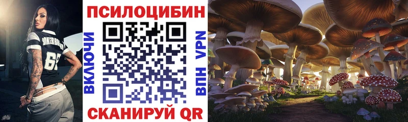гидра ссылки  Петухово  Галлюциногенные грибы Psilocybine cubensis  купить наркоту 